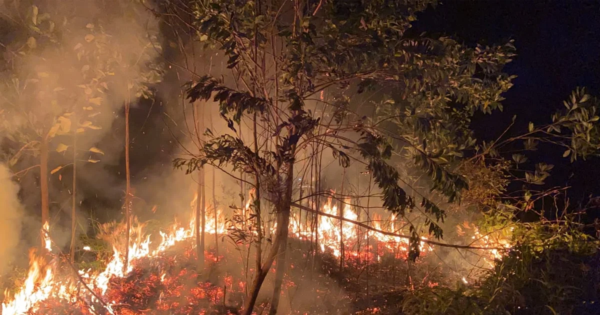 Karhutla Berau dan Ancaman Gangguan Aktivitas Wisata di Kecamatan Pulau Derawan