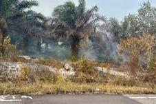 Kemarau Panjang Landa Berau, Ini Perkembangan Jumlah Titik Panas Bulan Agustus 2026