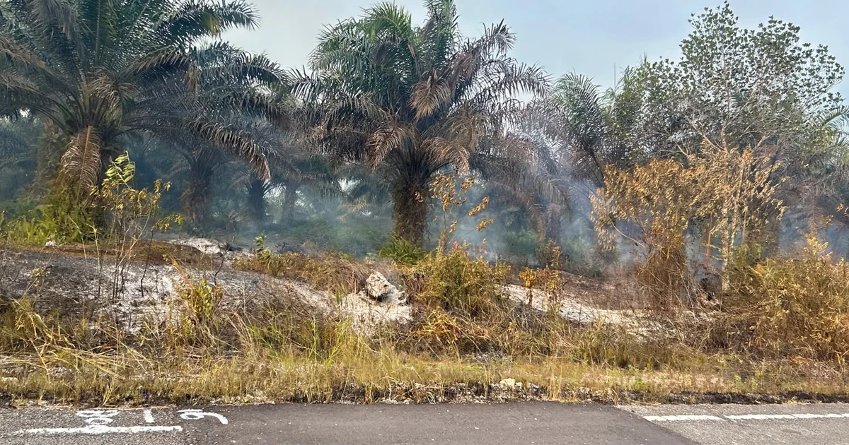 Titik Panas Paling Banyak di Kaltim, BMKG Ingatkan Potensi Karhutla Berau