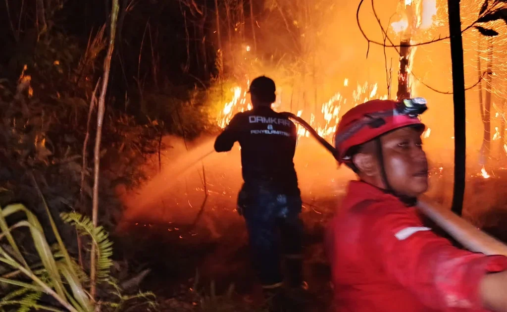 Proses pemadaman api karhutla oleh petugas gabungan di Berau. (Zuhrie/BT)