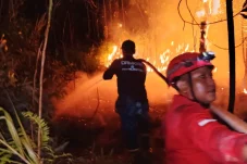 Kejari Berau Ungkap Perkembangan Penanganan Kasus Pidana Karhutla