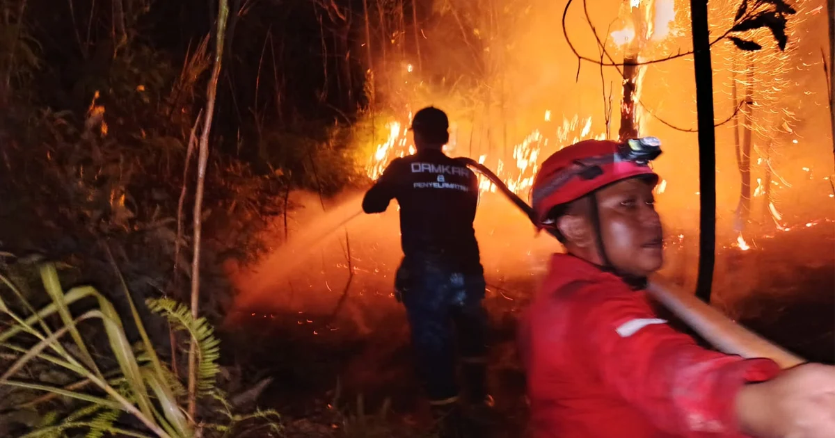 Jangan Ceroboh! Hotspot di Berau 187 Titik, Suhu Udara Maksimal Capai 37,5 Derajat Celcius