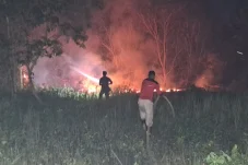 Hujan Mulai Turun di Berau, Disdamkarmat Ungkap Titik Api Karhutla Berkurang