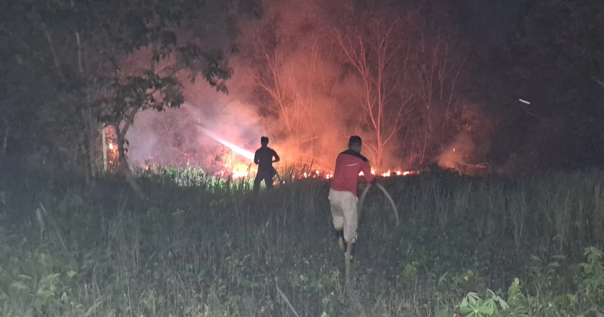 Titik Panas Terus Bertambah, Karhutla Berau Sudah Hanguskan 118 Hektar Lahan