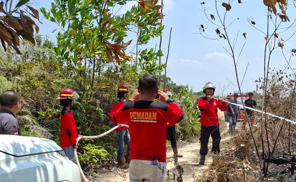 Penyerahan bantuan logistik dan BBM dari manajemen PT HSB untuk Posko Pemadam Kebakaran di Labanan, Kecamatan Bidukbiduk, Rabu (12/8/2026).