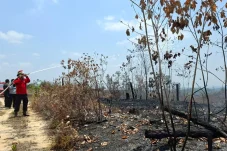Tak Hanya Pemerintah, Bupati Berau Minta Perusahaan Ikut Bantu Tangani Karhutla