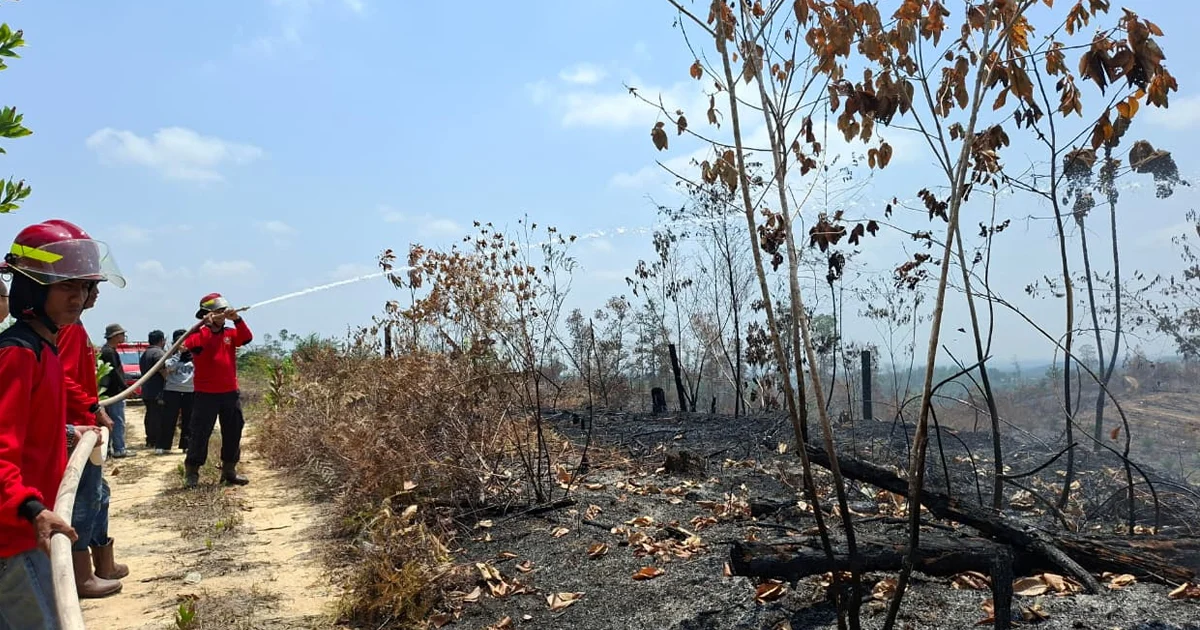 Tak Hanya Pemerintah, Bupati Berau Minta Perusahaan Ikut Bantu Tangani Karhutla
