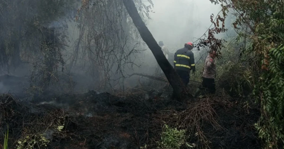 Update Karhutla Berau: Ratusan Hotspot Terdeteksi – Puluhan Hektar Lahan Terbakar