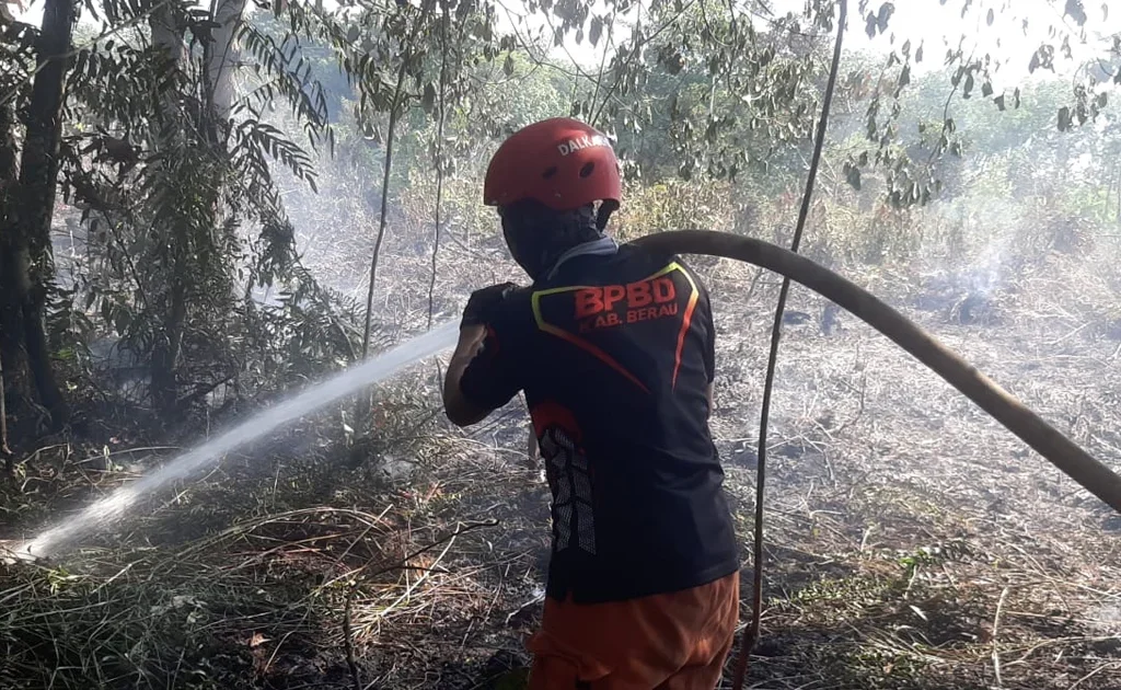 Proses pemadaman yang dilakukam tim TRC Penanggulangan Bencana BPBD Berau saat menjinakkan Karhutla (Ist)
