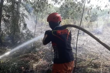 Titik Panas di Berau Terus Meningkat: Kini Capai 212 Titik, Tertinggi di Kecamatan Pulau Derawan