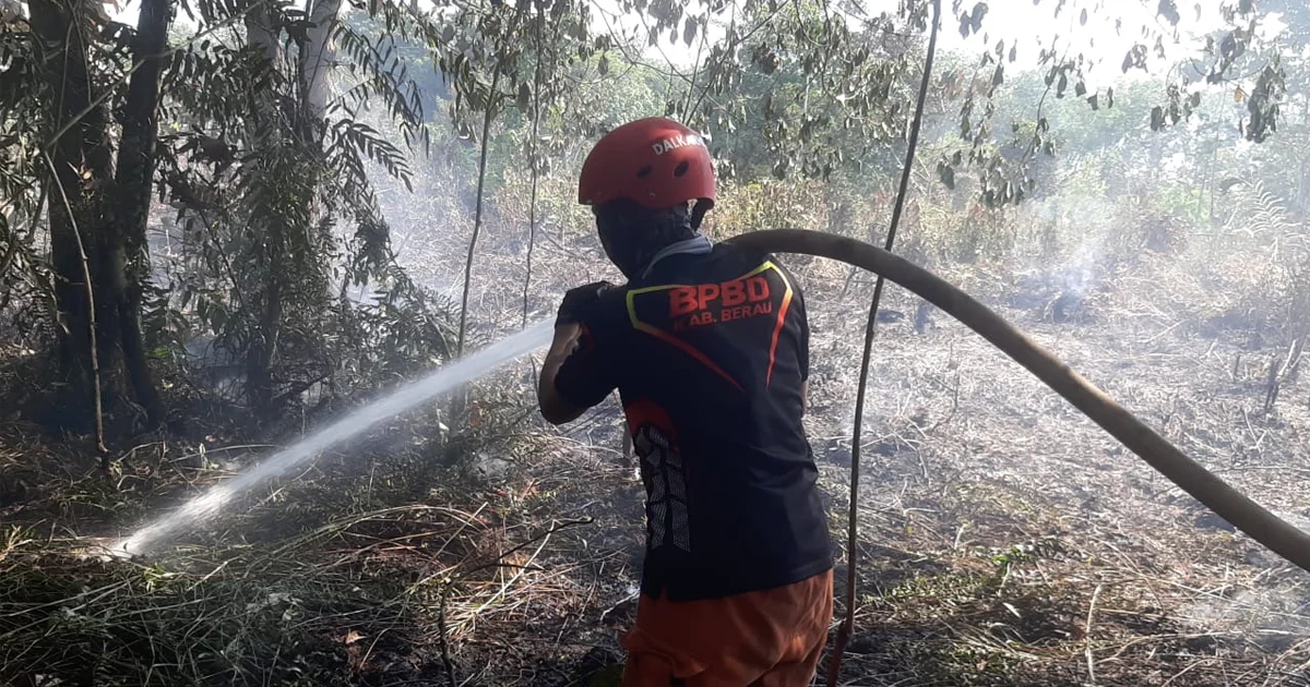 Titik Panas di Berau Terus Meningkat: Kini Capai 212 Titik, Tertinggi di Kecamatan Pulau Derawan
