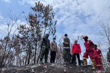 5 Hal Diketahui dari Kunjungan Menhut ke Berau: Tinjau Penanganan Karhutla – Pesan Raffi Ahmad