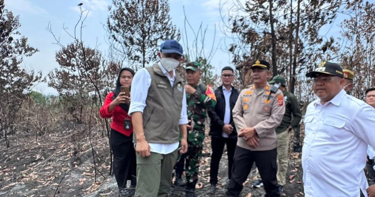 Menhut Raja Juli Sanksi Satu Perusahaan di Berau Kaltim, Diduga Sebabkan Karhutla 82,26 Hektar