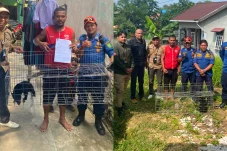 BKSDA Kaltim Evakuasi Beruang Madu Peliharaan Warga, Direhabilitasi di Pusat Satwa Long Sam