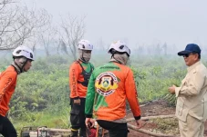 Presiden Prabowo Ancam Cabut Izin Perusahaan Pelaku Karhutla