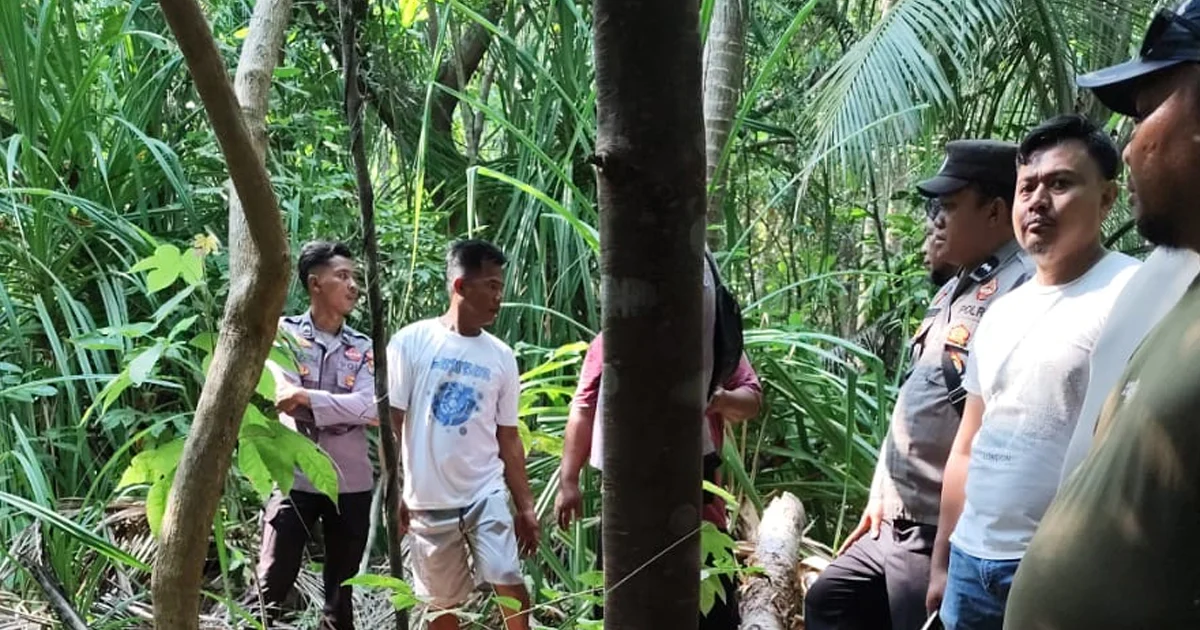 Akhir Cerita Go Mi Lij: Dilaporkan Hilang saat Wisata di Maratua Berau – Ditemukan Tak Bernyawa