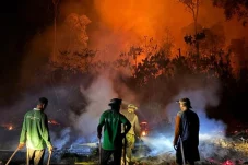 Update Pengusutan Kasus Karhutla Berau: Total Tersangka Jadi 9 Orang