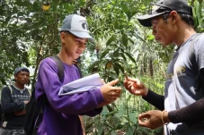 Ketika Hutan Jadi Apotek Pengetahuan, Generasi Muda Dumaring Belajar Ramuan Tradisional dari Sang Maestro