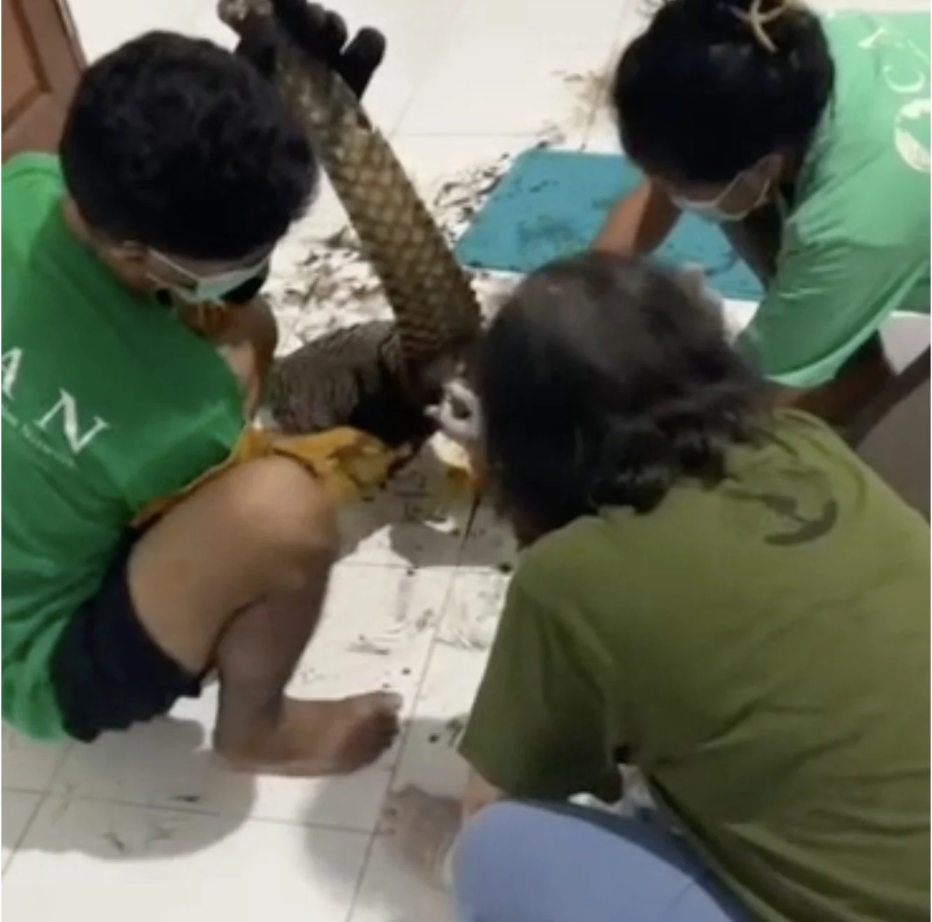 Tangkapan Layar 2026 09 04 pukul 19.27.56