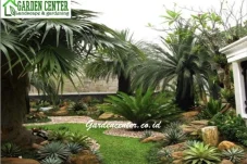 Taman Minimalis untuk Rumah Modern: Konsep, Tanaman, dan Material yang Cocok