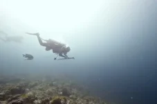 Kecam Penembakan Ikan Pakai Speargun di Maratua, Berau Divers: Kami Marah Jika Laut Dirusak