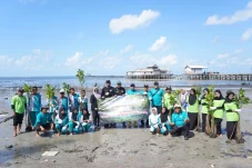 PLN Perkuat Ekonomi dan Ekosistem Pesisir melalui Program Desa Berdaya Tanjung Seloka