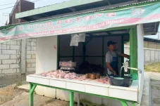 Tingginya Permintaan MBG Bikin Harga Ayam di Berau Meroket Capai Rp40 Ribu Per Kilogram