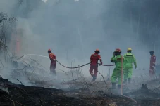 Penanganan Karhutla Berlanjut, PT Berau Coal Konsisten Dukung Tim Gabungan