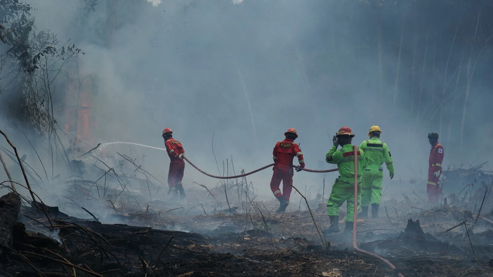 Penanganan Karhutla Berlanjut, PT Berau Coal Konsisten Dukung Tim Gabungan