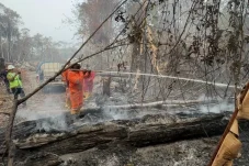 Karhutla Masih Membara di Pesisir, Disdamkarmat Berau Sebut Koordinasi Penanganan Belum Optimal