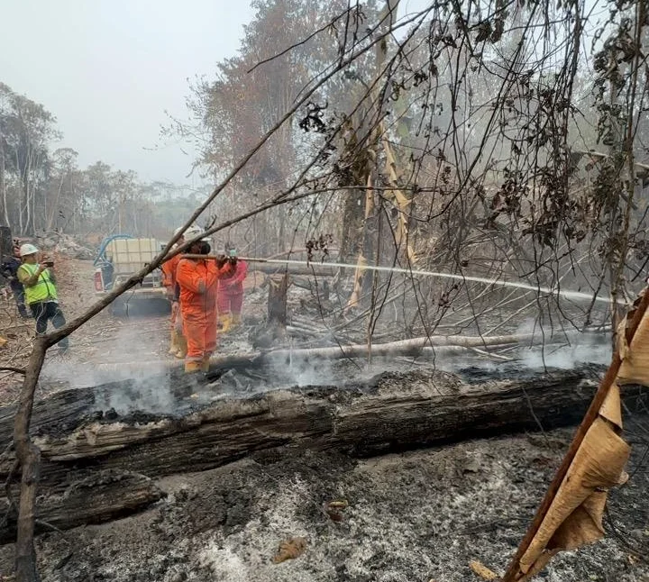 Karhutla Masih Membara di Pesisir, Disdamkarmat Berau Sebut Koordinasi Penanganan Belum Optimal