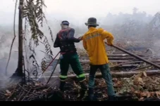 Pemkab Berau Turunkan Peat Injector Atasi Karhutla di Lahan Gambut