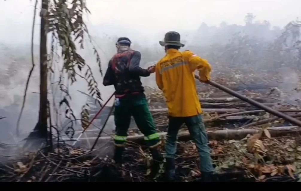 Pemkab Berau Turunkan Peat Injector Atasi Karhutla di Lahan Gambut