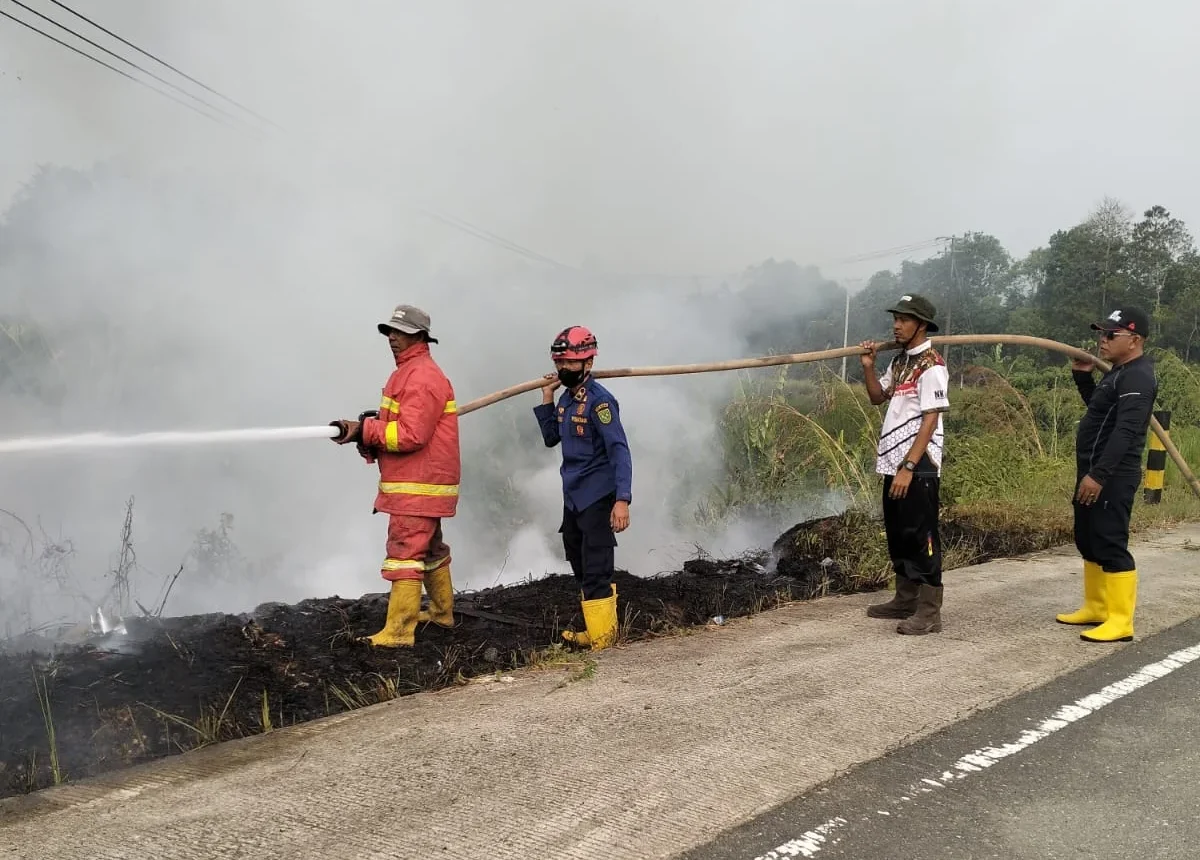 Armada Damkar Mulai Kewalahan, BPBD Berau Libatkan Camat hingga RT Suplai Air Padamkan Karhutla