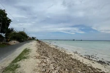 Lindungi Habitat Penyu, DPUPR Berau Hati-hati Garap Pengaman Pantai di Maratua