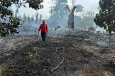 Hampir Sepekan Tak Diguyur Hujan, Titik Panas di Berau Capai 327 Hotspot
