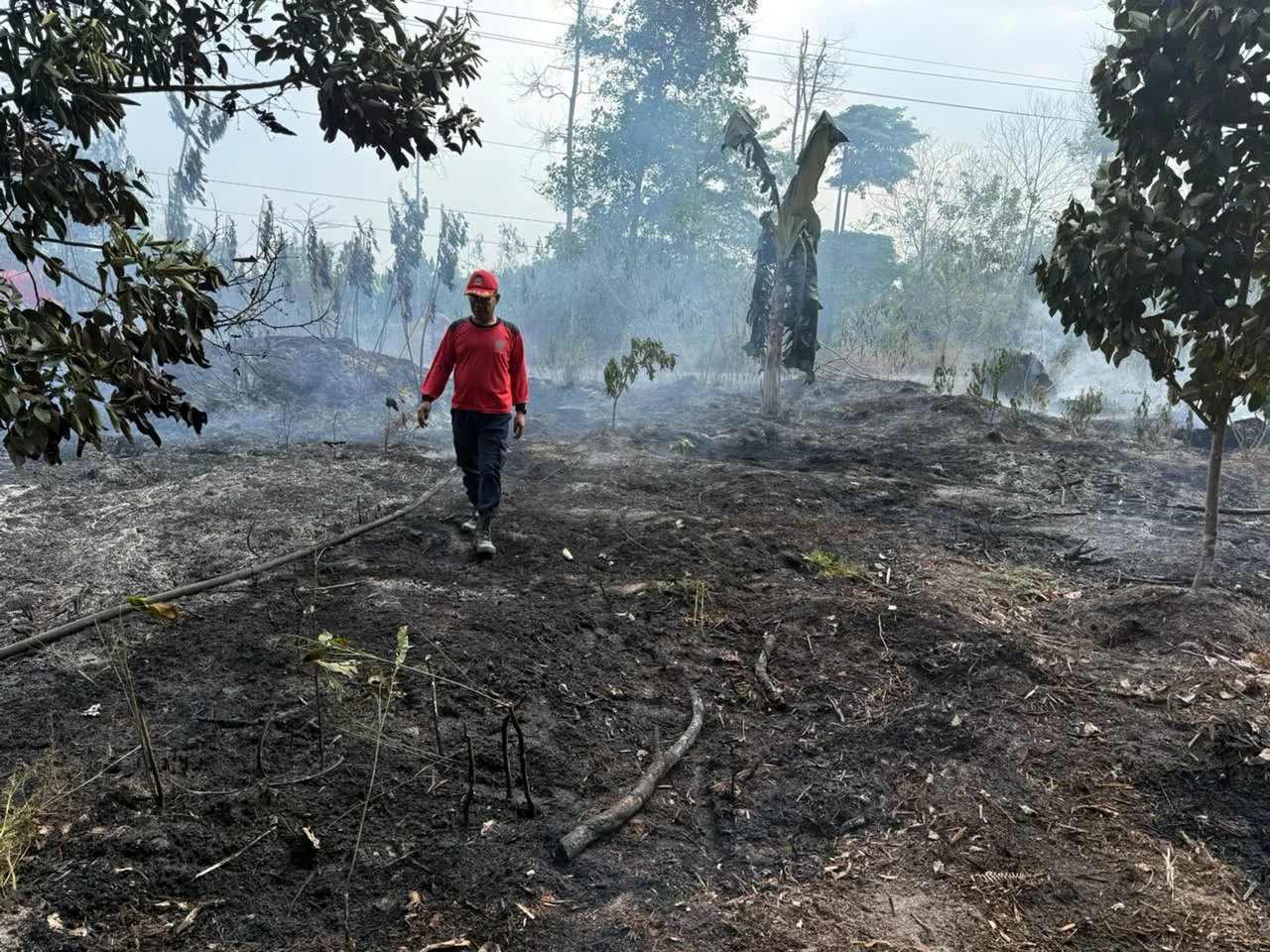 Hampir Sepekan Tak Diguyur Hujan, Titik Panas di Berau Capai 327 Hotspot