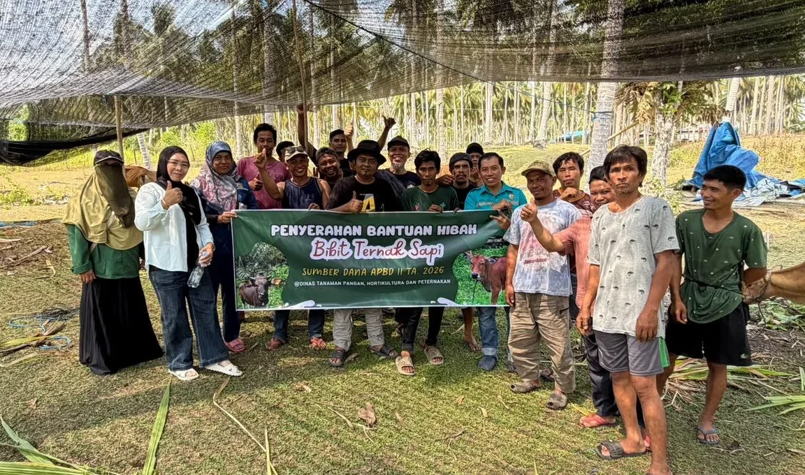 DTPHP Berau menyalurkan bantuan pengadaan bibit sapi di Kampung Teluk Sumbang.