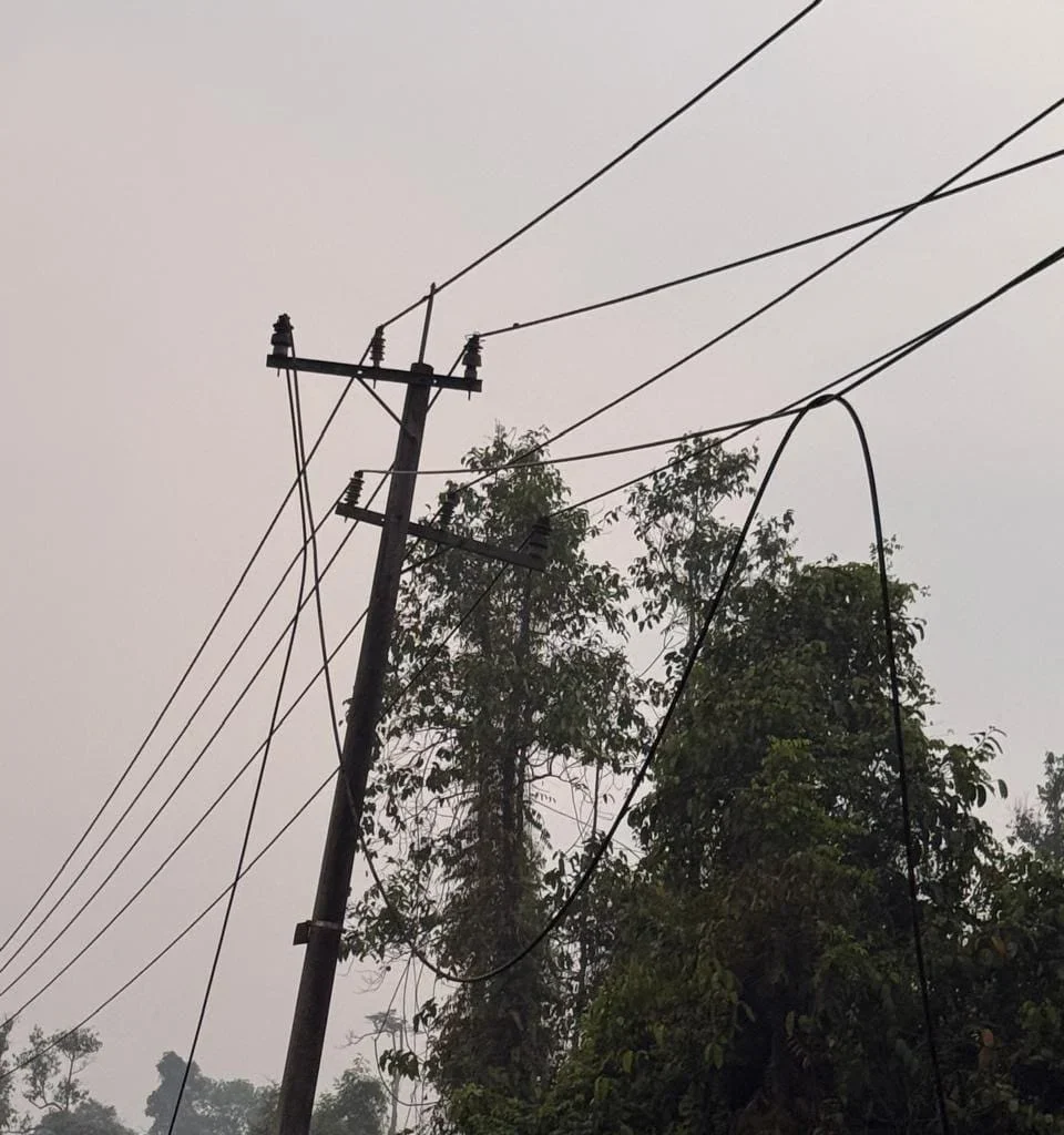 Kondisi jaringan listrik PLN Berau yang mengalami kerusakan. (Channel WA/PLN ULP Tanjung Redeb)