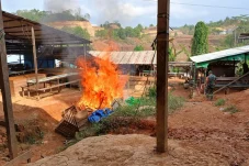 Tindak Lanjuti Aduan Masyarakat, Tim Gabungan kembali Bongkar Arena Judi Sabung Ayam di Kelurahan Rinding