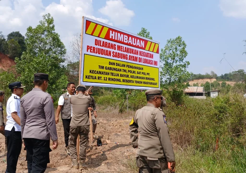 Petugas Gabungan dari Forkopikcam Teluk Bayur saat memasang spanduk larangan perjudian di dekat bekas lokasi sabung ayam di Jalan Ringroad, RT 12 Kelurahan Rinding, Rabu (30/9/2026). (Adrikni/BT)