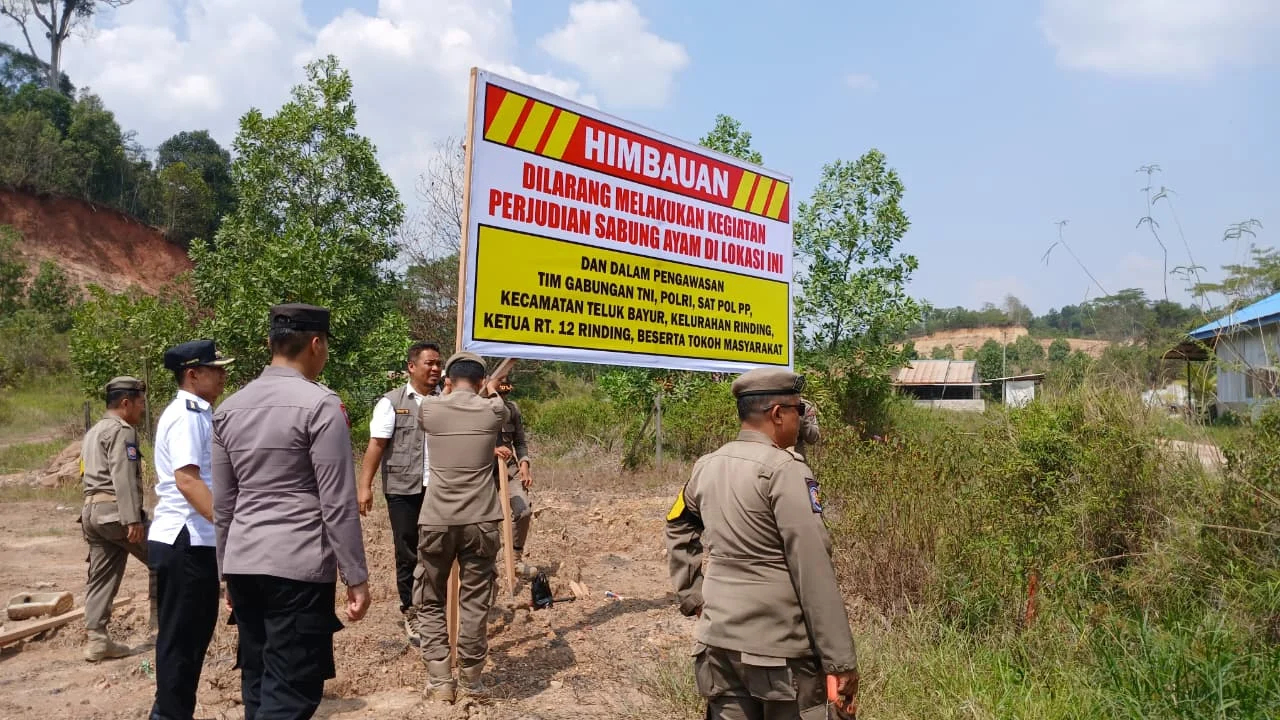 Lanjutkan Penertiban Arena Sabung Ayam, Tim Gabungan Pasang Spanduk Larangan Perjudian