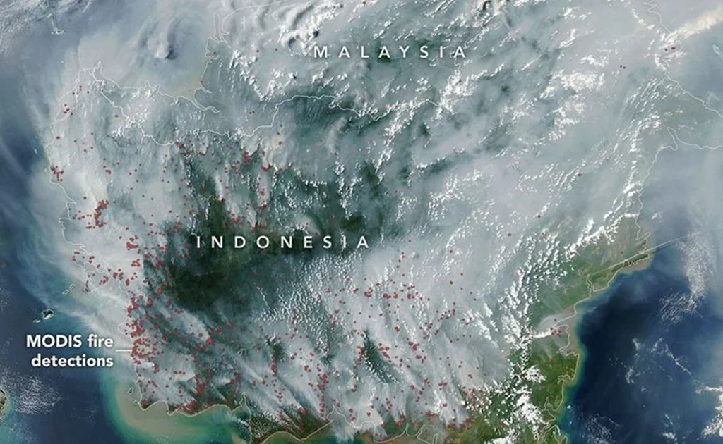 Citra satelit kabut asap karhutla di Pulau Kalimantan (nasa.gov)