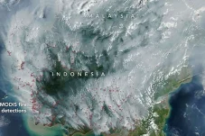 Viral! Citra Satelit NASA Perlihatkan Pulau Kalimantan Tertutup Kabut Asap Karhutla