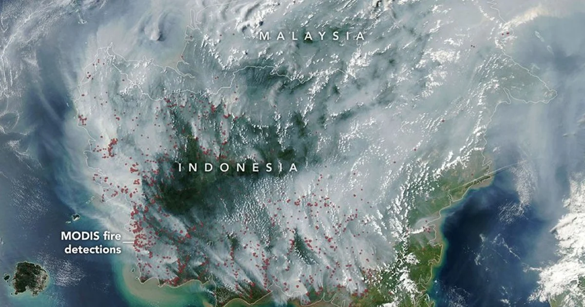 Viral! Citra Satelit NASA Perlihatkan Pulau Kalimantan Tertutup Kabut Asap Karhutla