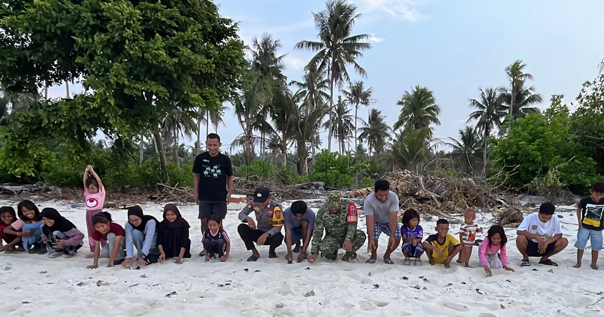 45 Tukik Dilepasliarkan di Balikukup Berau, Berharap Ekosistem Penyu Hijau Lestari