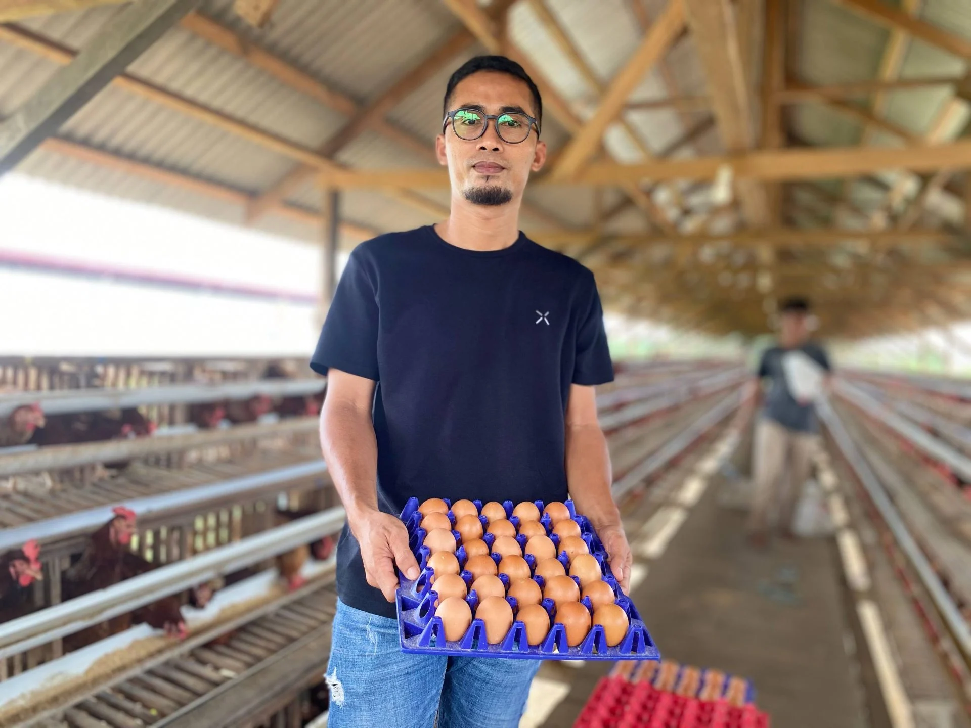 Dongkrak Ekonomi Desa, BUMDes Cinta Amanah Sukan Tengah Berau Sukses Garap Bisnis Ayam Petelur