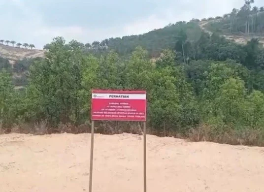 Patok perusahaan di lahan milik PT SBE. 