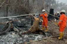 PT Hutan Sanggam Berau Aktifkan Posko Taktis Karhutla di Segah, Perkuat Respons Wilayah Sulit Dijangkau