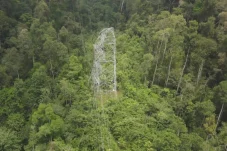 Tower Transmisi 150 kV PLN Roboh, Warga Berau Sabar Terdampak Pemadaman Listrik